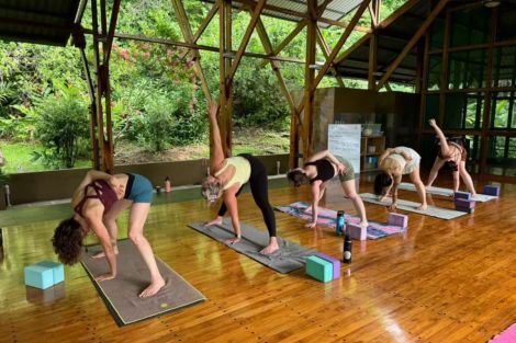 Yoga Meditation Retreat Center The Sanctuary - Class