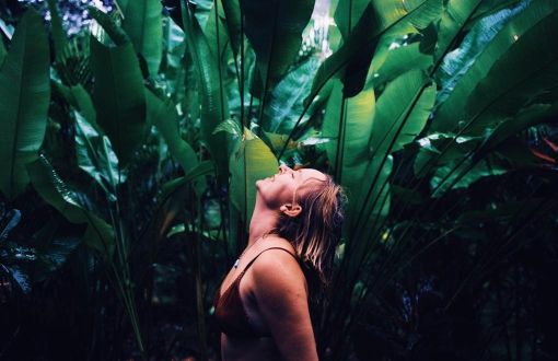 Yoga Retreat Costa Rica - Jungle Alchemy February 2026