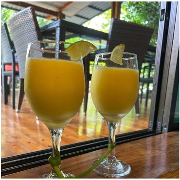 The Sanctuary Costa Rica On Instagram
