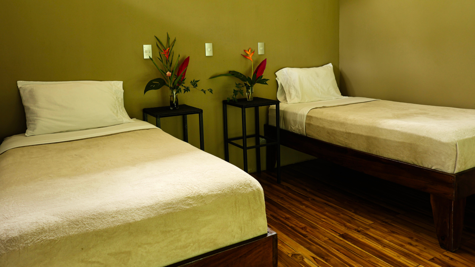 Accommodations Costa Rica Jungle Studio - The Sanctuary