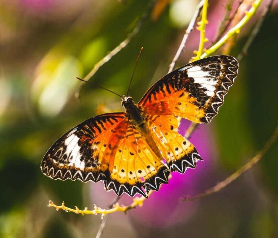 Retreat Costa Rica - The Sanctuary