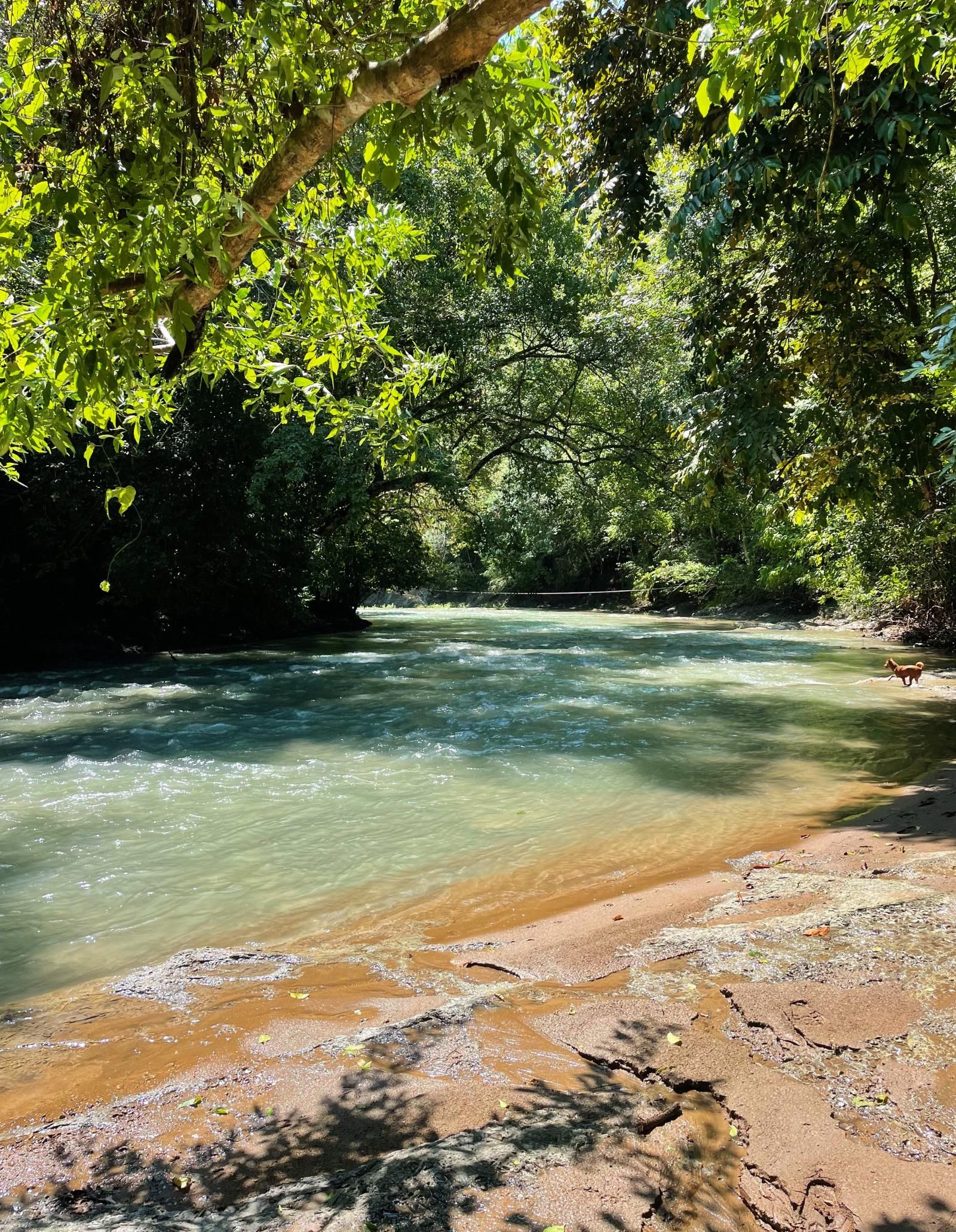 Yoga Meditation Retreat -Costa Rica - Sanctuary Two Rivers - Rio Lajas
