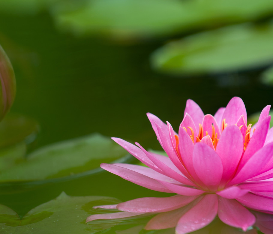 Retreat Costa Rica - The Sanctuary