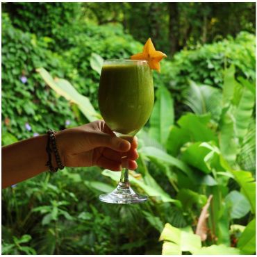 The Sanctuary Costa Rica On Instagram